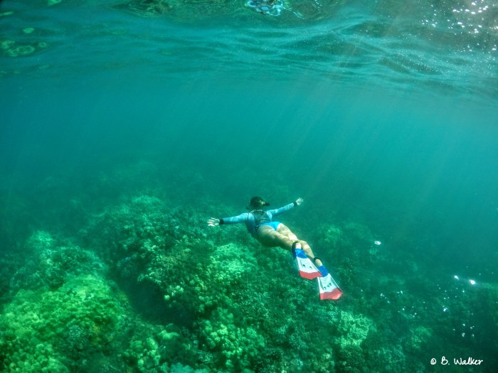 DCIM100GOPROGOPR0920.