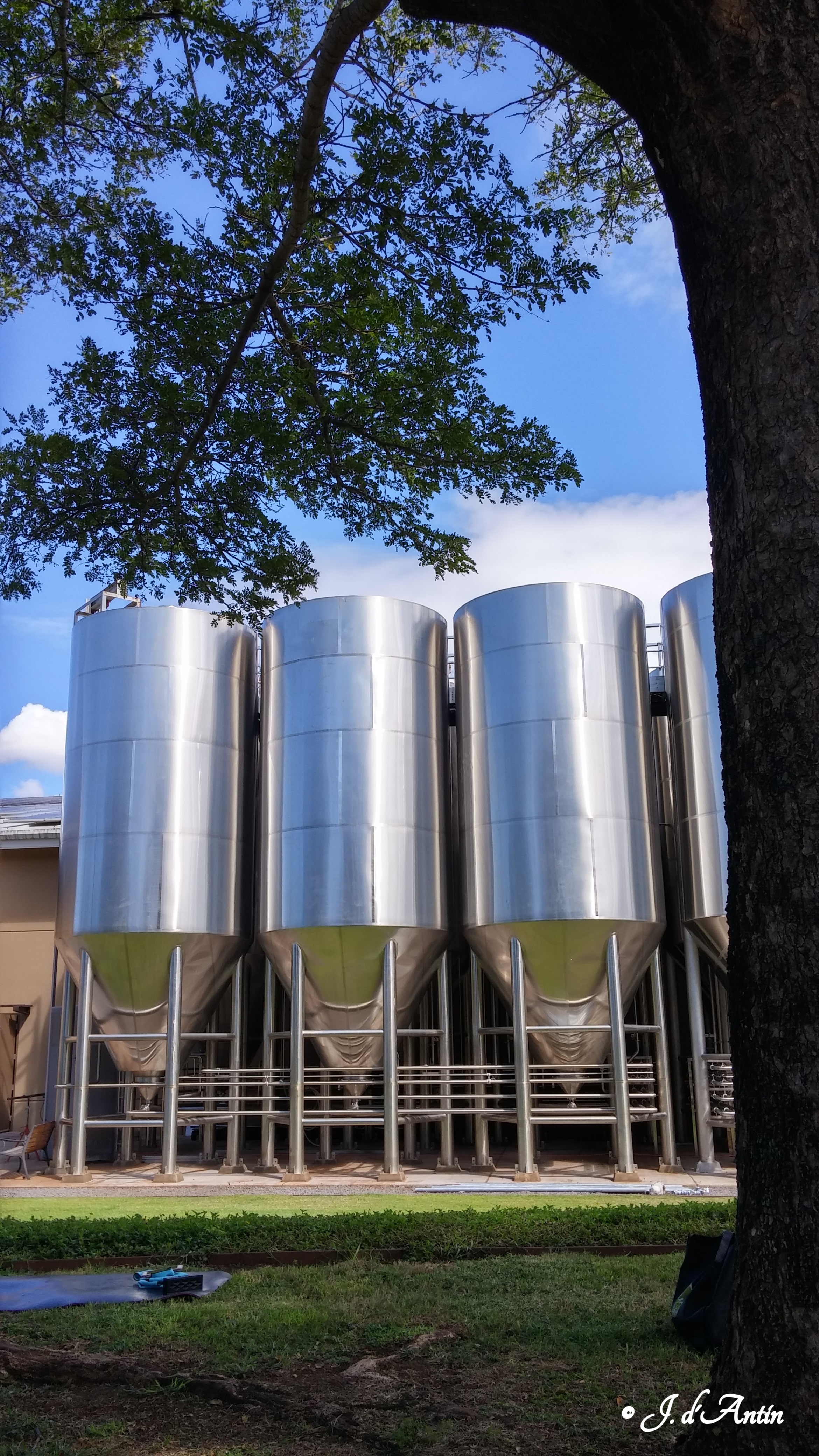 MBC-Kegs