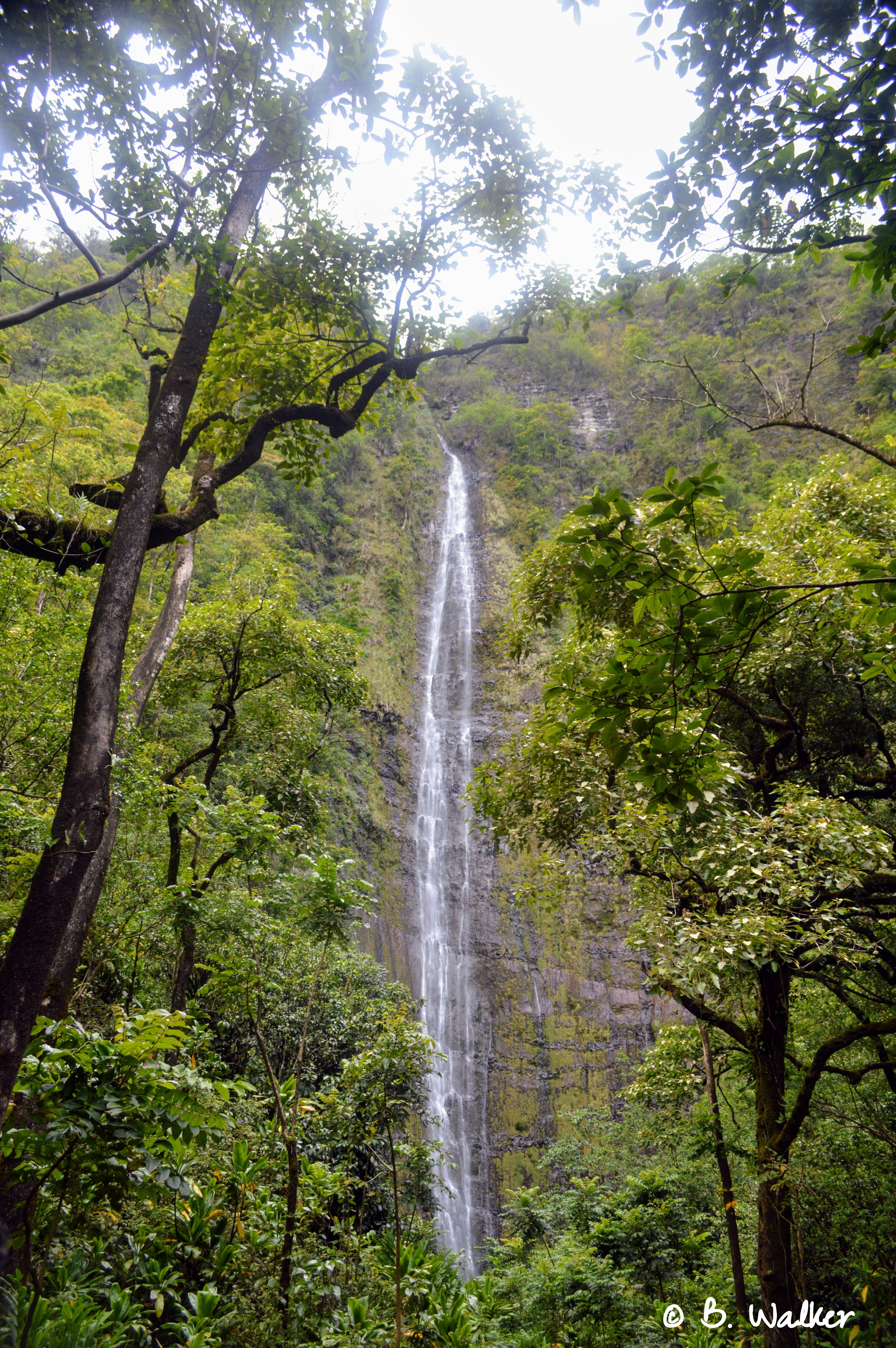 WaimokuFalls